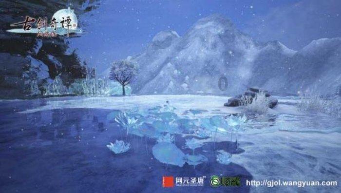 专业知识星球平台-你认为为什么明星头发都那么亮?高效交流、学习与分享