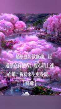 怎么样辨别紫砂壶-全方位有问必答平台